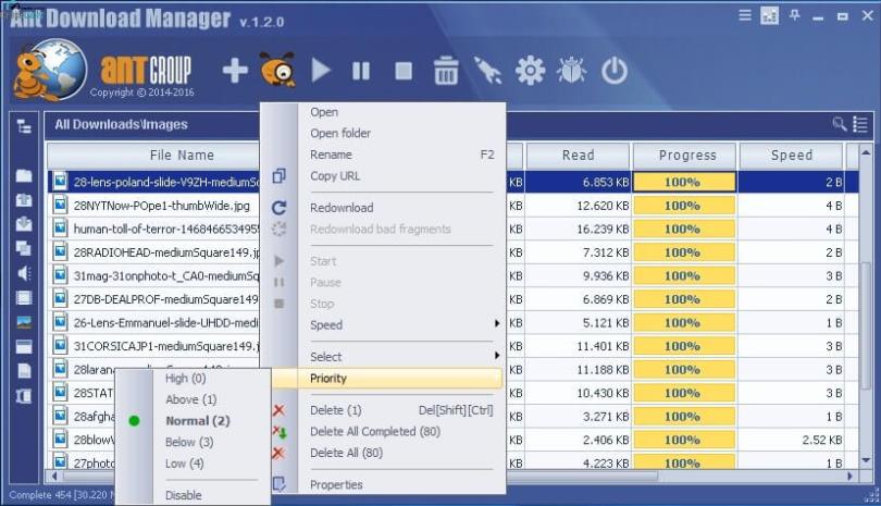 Ant Download Manager Pro Screenshot