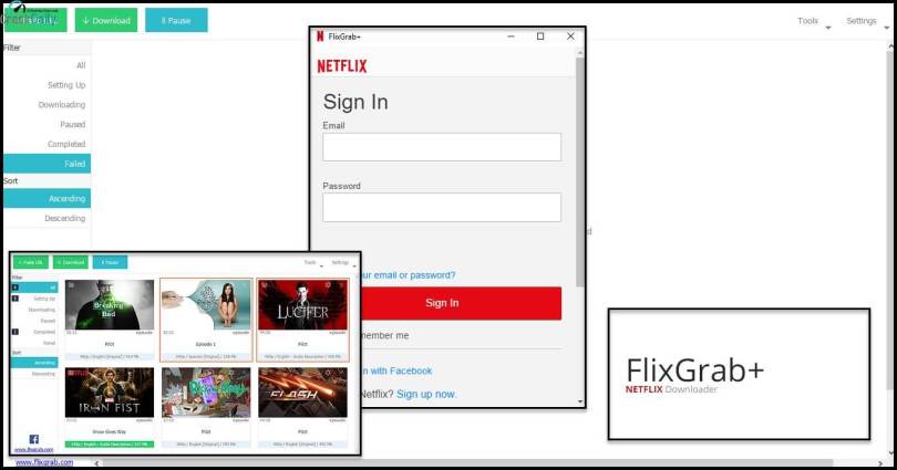 FlixGrab+ Premium Screenshot